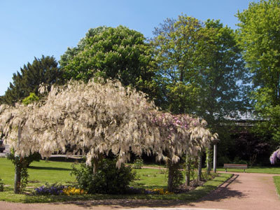 Serres Pédagogiques et Jardin Botanique de Tourcoing