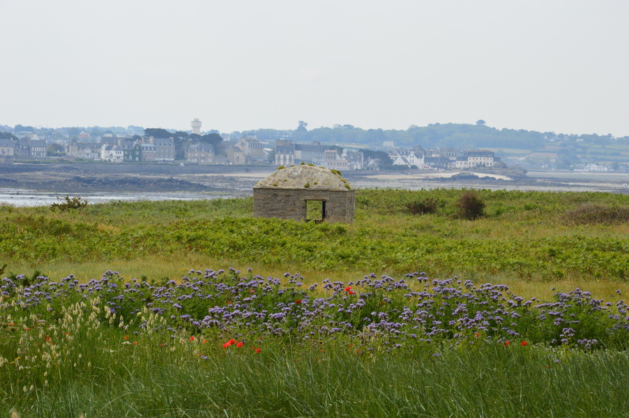 JARDIN GEORGES DELASELLE