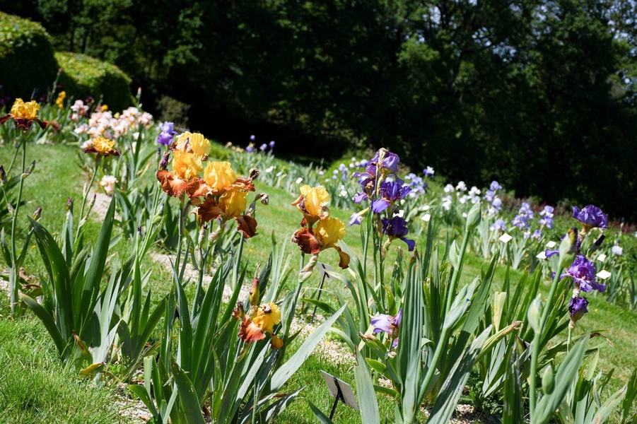 LES JARDINS DE BROCÉLIANDE