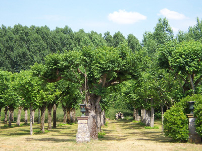 L'ABBAYE DE PONTLEVOY