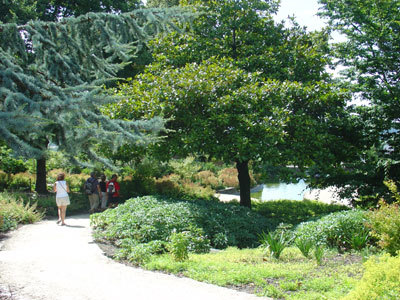 JARDIN DES PLANTES