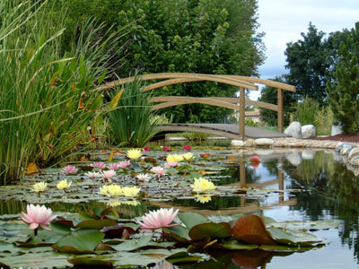 LES JARDINS AQUATIQUES