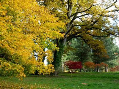 ARBORETUM DU CHATEAU DE NEUVIC D'USSEL