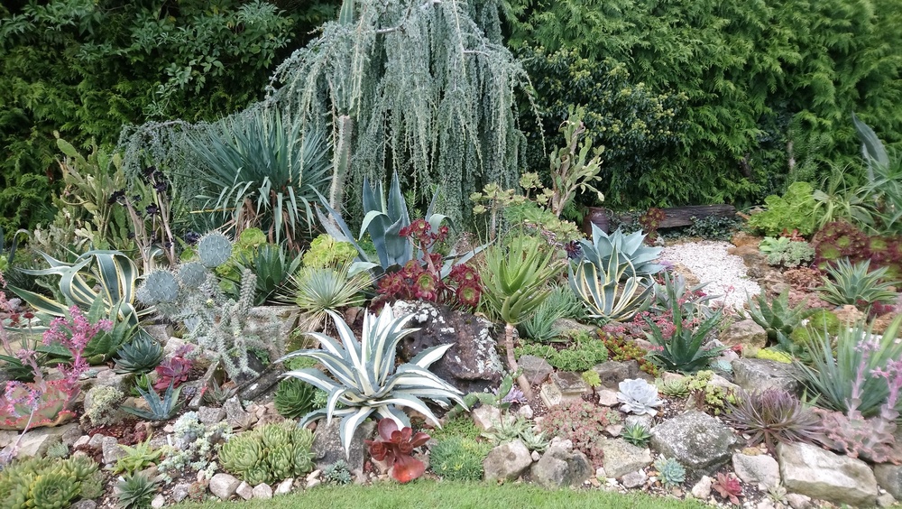 Jardin des petits prés