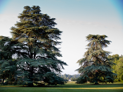 PARC ET CHÂTEAU DE BEAUREGARD