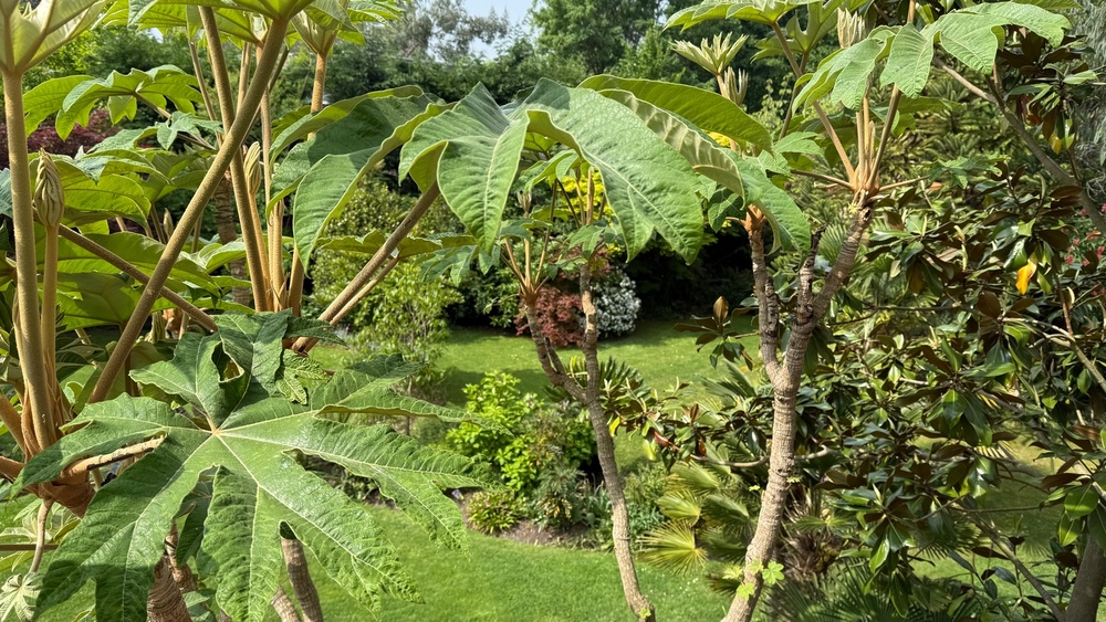 Jardin secret du Château Blanc