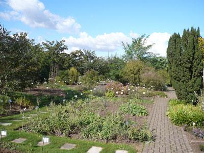 JARDIN BOTANIQUE de la Ville et de l'Université de Tours