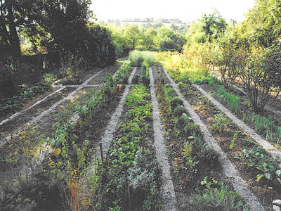 JARDINS DU CHÂTEAU DE MOMAS