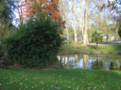 JARDIN DES PLANTES