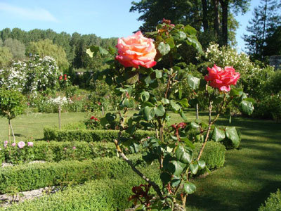 Parc de l'abbaye de Vaucelles