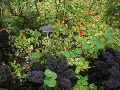 JARDIN DES CHEVANNES