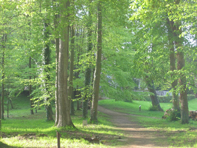 ARBORETUM INSTITUT CHARLES QUENTIN