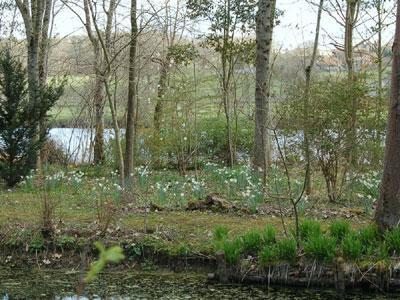 Arboretum du Chêne-Vert