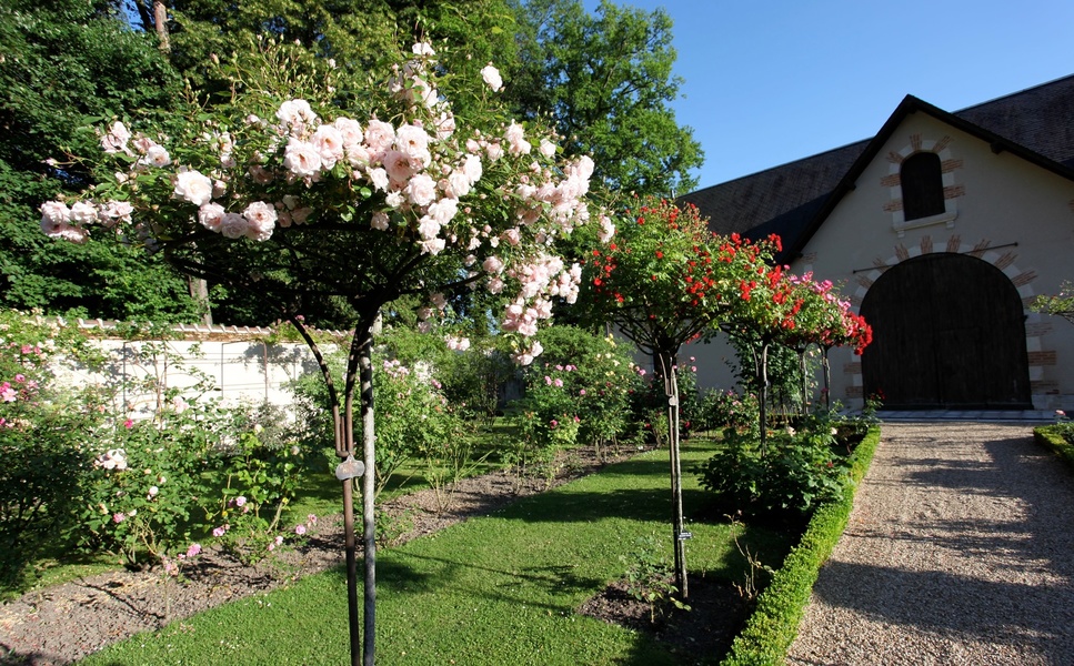 Arboretum de la Grande Lienne