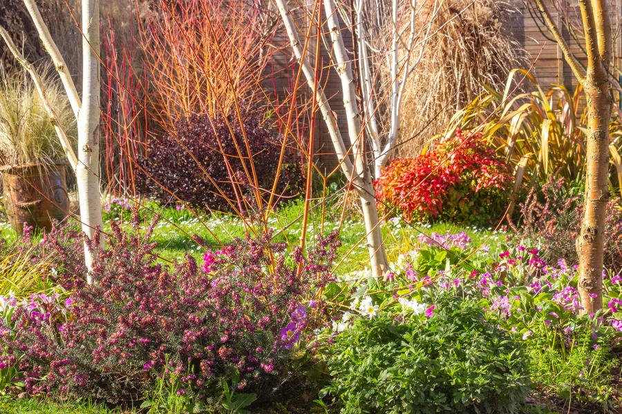 Jardin de Luchane