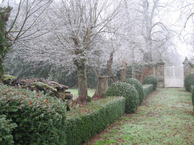 JARDIN DE GRENOUILLON