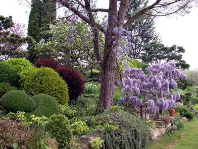 JARDIN ZEN D'ERIK BORJA