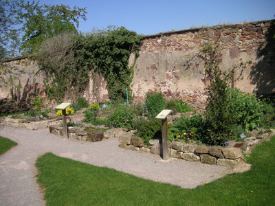 JARDIN DU CLOITRE DE L'ABBATIALE SAINT CYRIAQUE