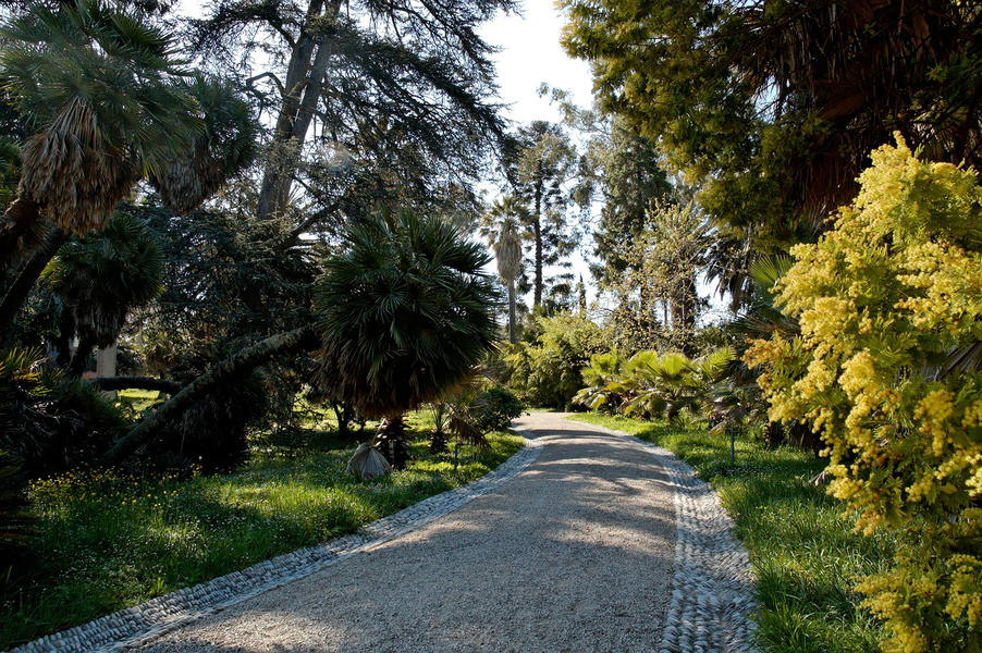 Jardin botanique de la Villa Thuret