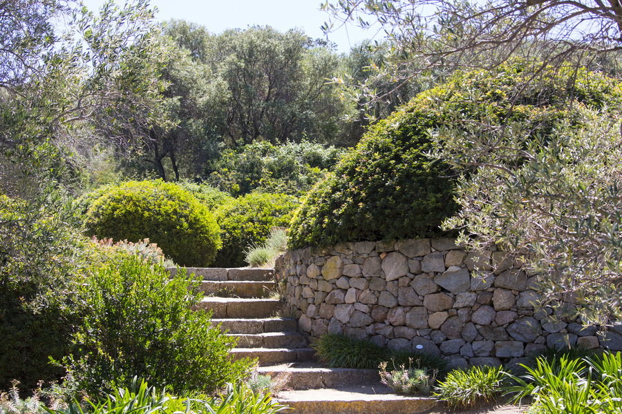 PARC DE SALECCIA