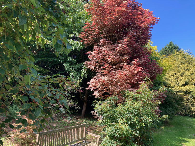 LE CLOS de CHANCHORE- Jardin Botanique