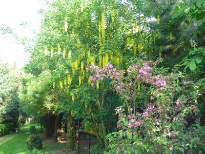 Jardin du Pâtural des Joncs