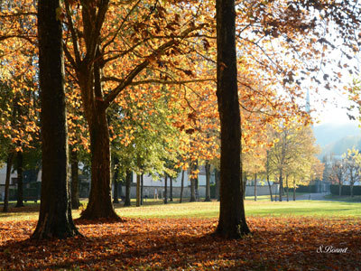 Promenade du Petit Bois