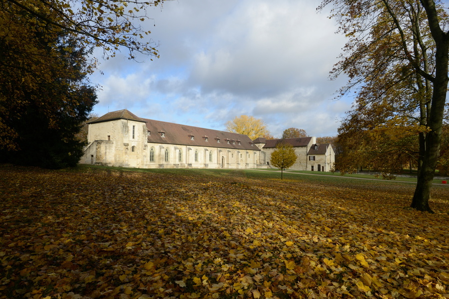 PARC DE L'ABBAYE DE MAUBUISSON