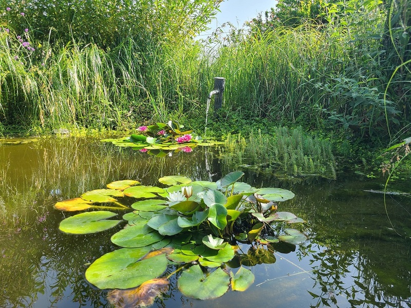Jardin-verger Conservatoire