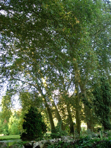 PARC DU CHÂTEAU D'ACQUIGNY