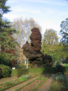 JARDIN DES PLANTES