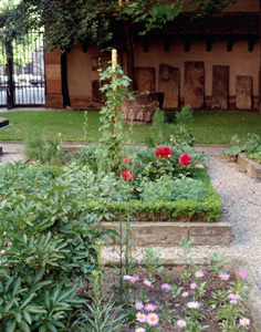 JARDINET GOTHIQUE DU MUSÉE DE L'OEUVRE NOTRE DAME