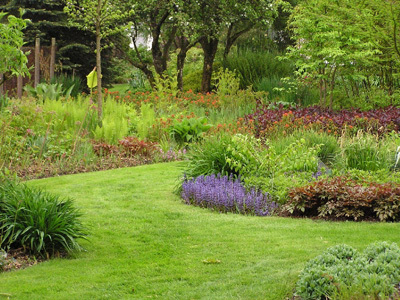 LE JARDIN DES ORCHIDÉES