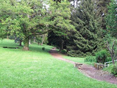 PARC DU CHATEAU DE CHAVANIAC-LAFAYETTE