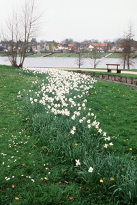 PARC SAINT PIERRE