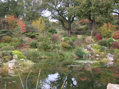 JARDIN ZEN D'ERIK BORJA