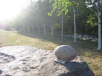 LE PARC LA TERRE PIMPRENELLE