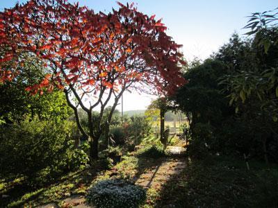 JARDIN LES COULEURS DU TEMPS