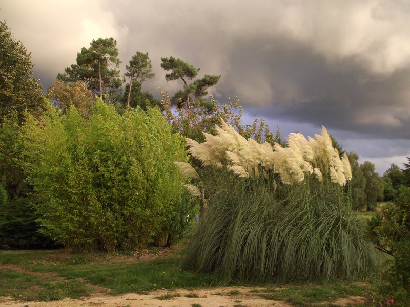 LE JARDIN DE RIVASSOUX