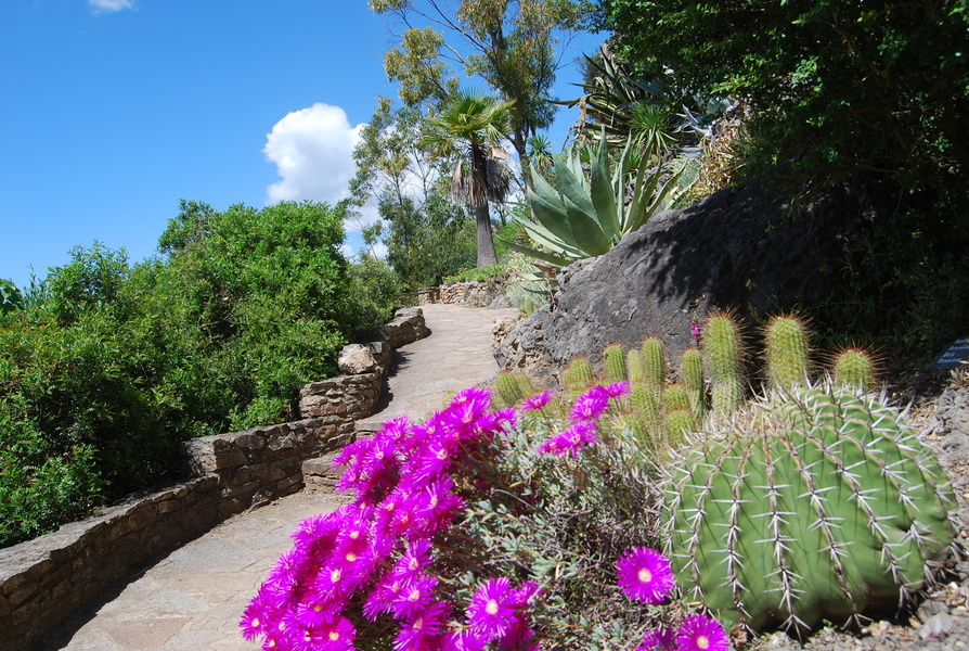 JARDIN MÉDITTERRANÉEN DE ROQUEBRUN