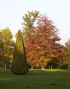 Le Jardin de la Borde