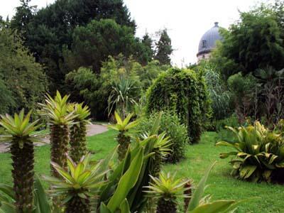 JARDIN BOTANIQUE DE L'UNIVERSITÉ DE STRASBOURG