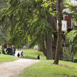 JARDIN DU CHÂTEAU DE LANGEAIS