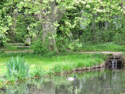 Parc de la Babiole