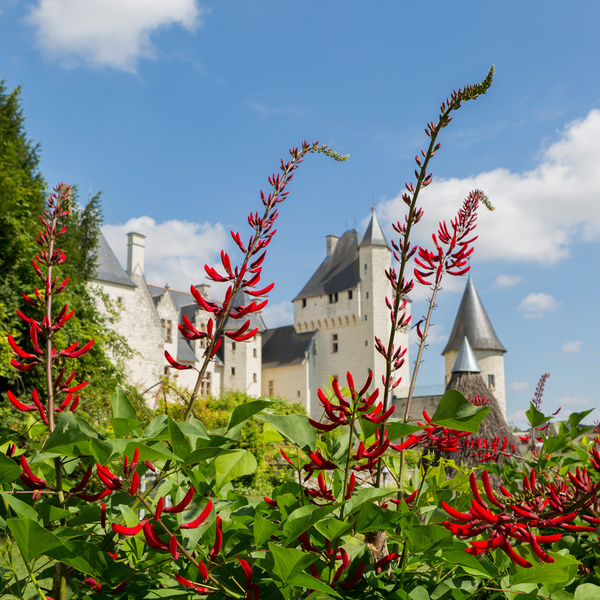 CHÂTEAU et JARDINS DU RIVAU