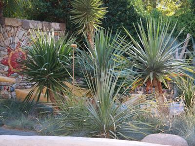 Un JARDIN DANS LES ETOILES