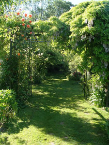 Parc de l'abbaye de Vaucelles