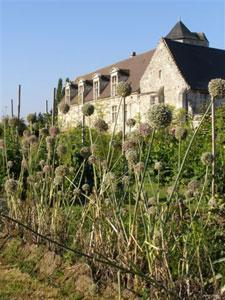 JARDINS DU MANOIR DU PLESSIS AU BOIS