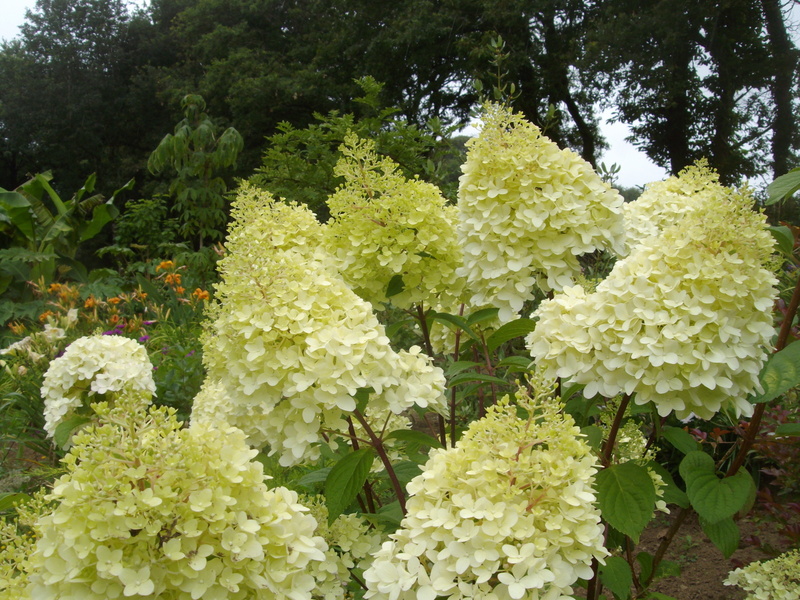 Un Jardin à Landrévarzec