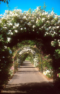 JARDIN BOTANIQUE JEAN-MARIE PELT